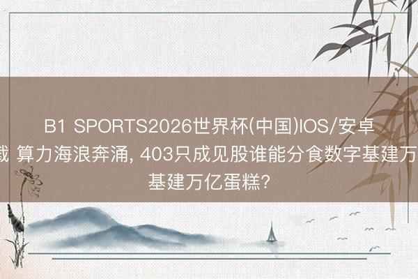 B1 SPORTS2026世界杯(中国)IOS/安卓官方下载 算力海浪奔涌, 403只成见股谁能分食数字基建万亿蛋糕?